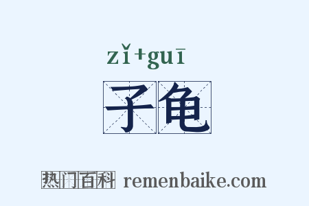 子龟是什么意思的图片